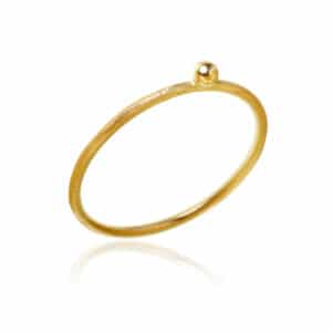 DULONG RING DELPHIS NR 1
