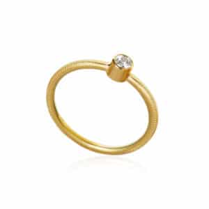 DULONG RING TWINKLE GULL