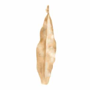 OLE LYNGGAARD ANHENG LEAVES STOR
