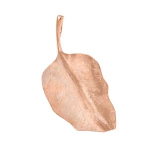 OLE LYNGGAARD ANHENG LEAVES MELLOM STOR RUND ROSEGULL